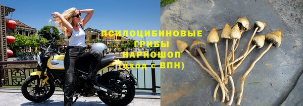 твердый Абинск