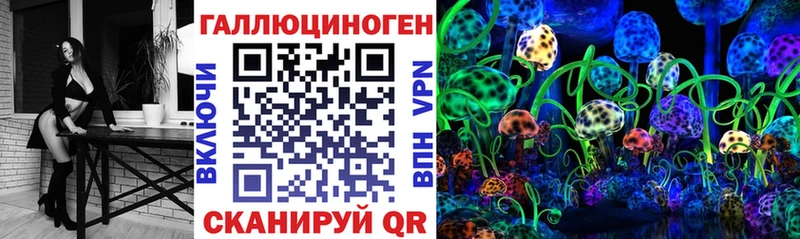купить   Урус-Мартан  Псилоцибиновые грибы мухоморы 
