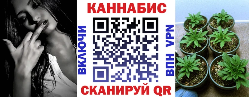 shop наркотические препараты  Урус-Мартан  Канабис ГИДРОПОН  как найти наркотики 